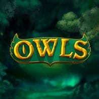 Owls game screenshot