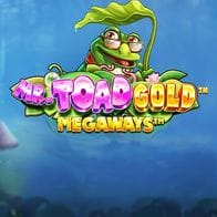 Mr Toad Gold Megaways game screenshot
